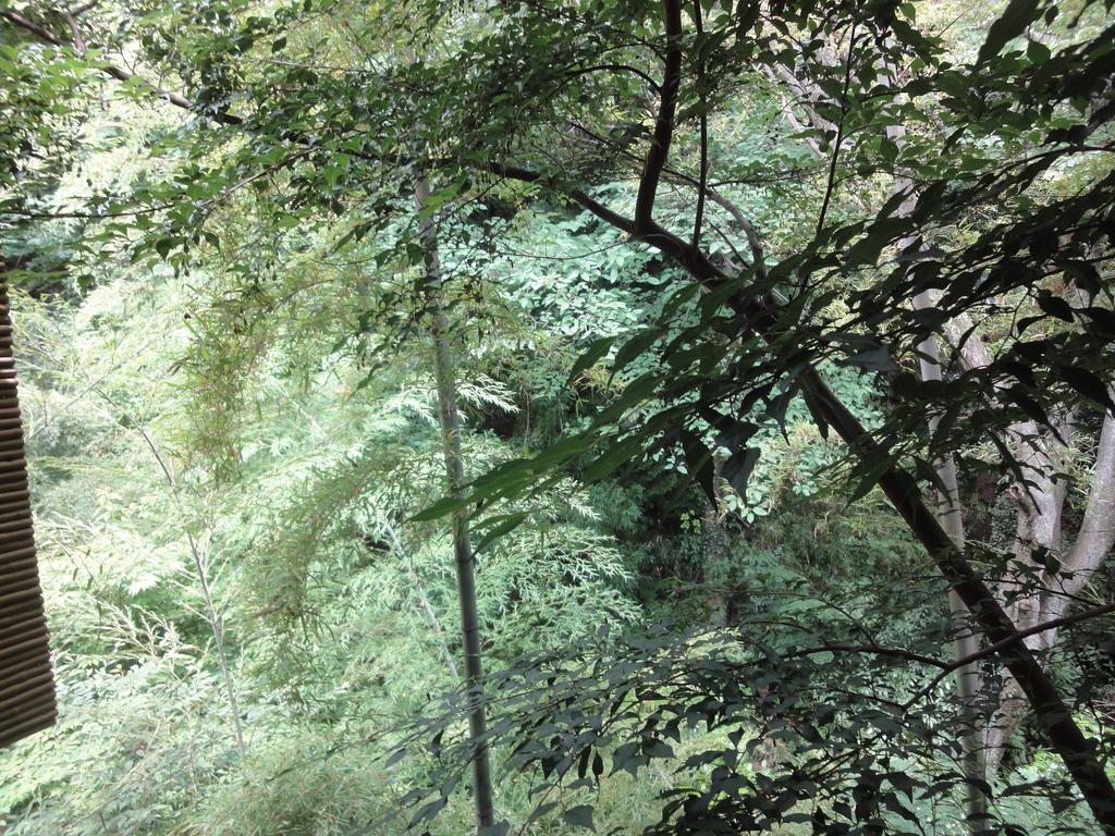 Ryokan Kiritani Hakoneso Bagian luar foto